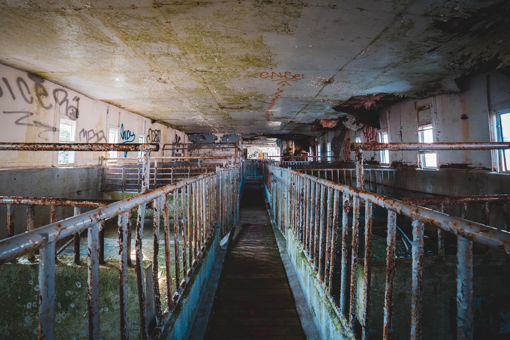 Biosecurity in the slaughterhouse yard Sante Porcine